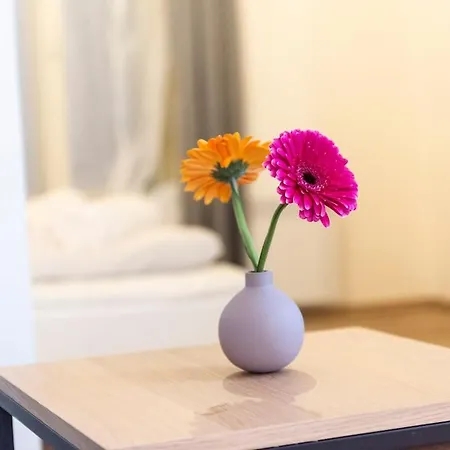 Andrew's Apartman